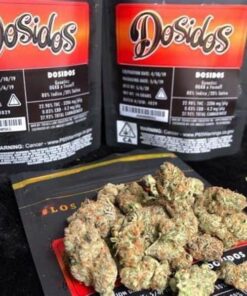 Dosidos jungleboys