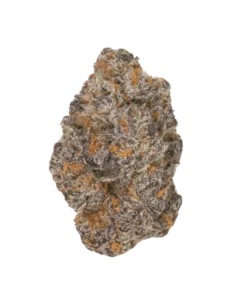 THCP Apple Fritter