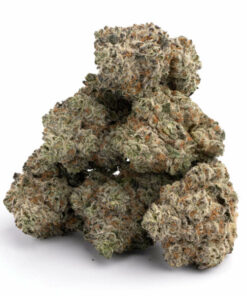 White Widow Strain