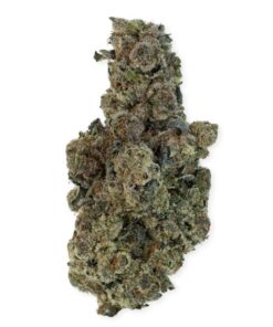 BISCOTTI CHIP Weed
